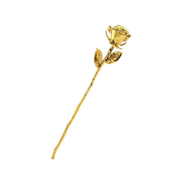 Goldrose langstielig 43 cm