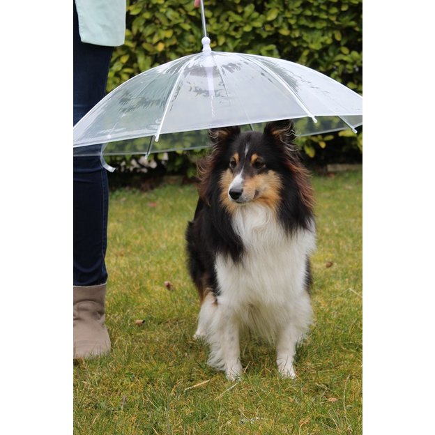 RegenschirmLeine für Haustiere geschenkidee.ch