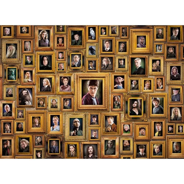 Harry Potter Impossible Puzzle I geschenkidee.ch